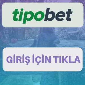 Tipobet giriş